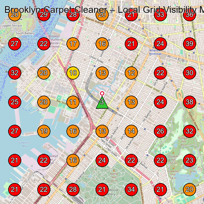 Brooklyn Carpet Cleaner GeoGrid visibility map for Carpet Cleaning Service in Brooklyn
